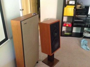 Another view of the Cherry Red Polk