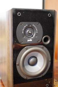 Detail of ring radiator tweeter and front panel
